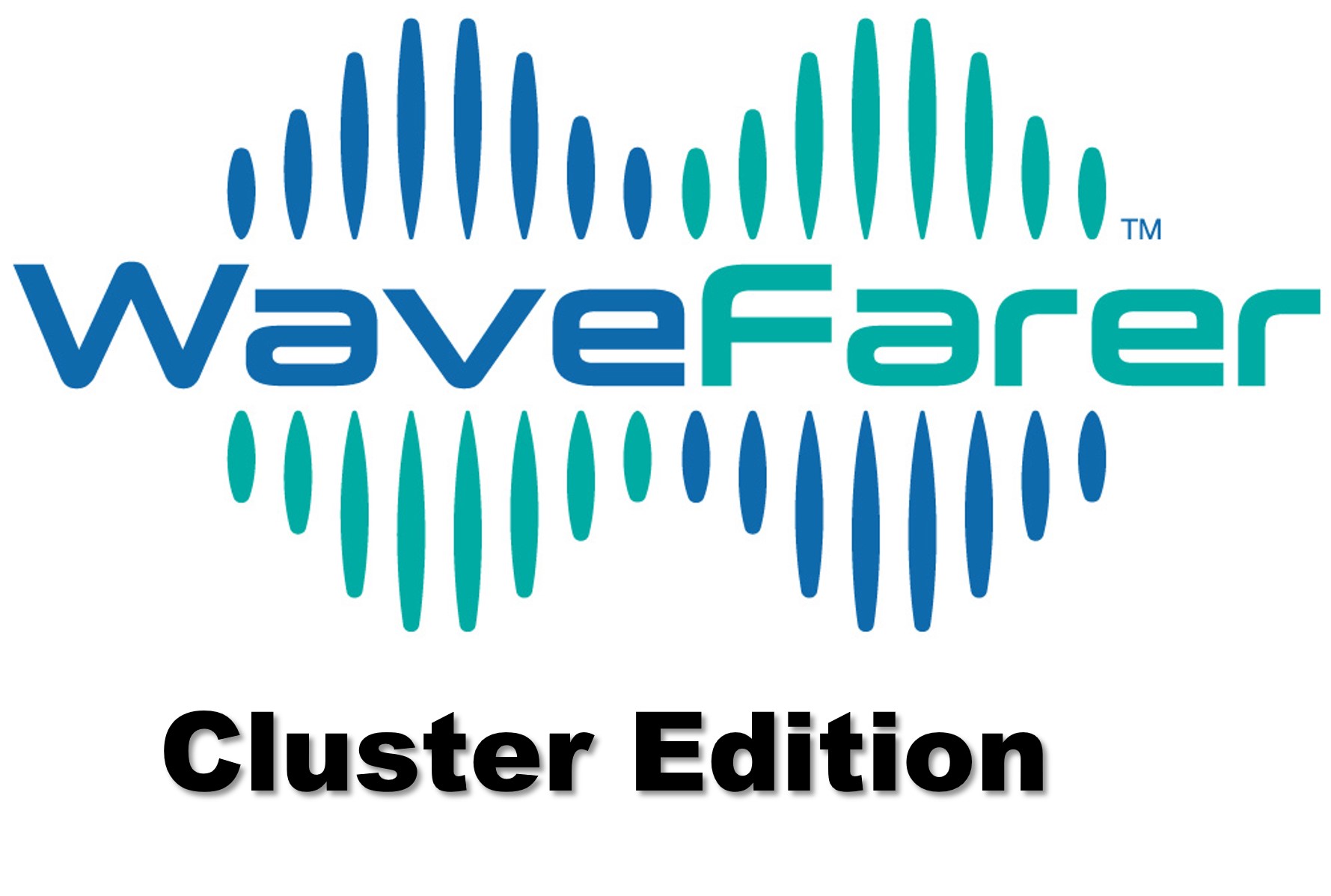 WaveFarer  企業集群版
