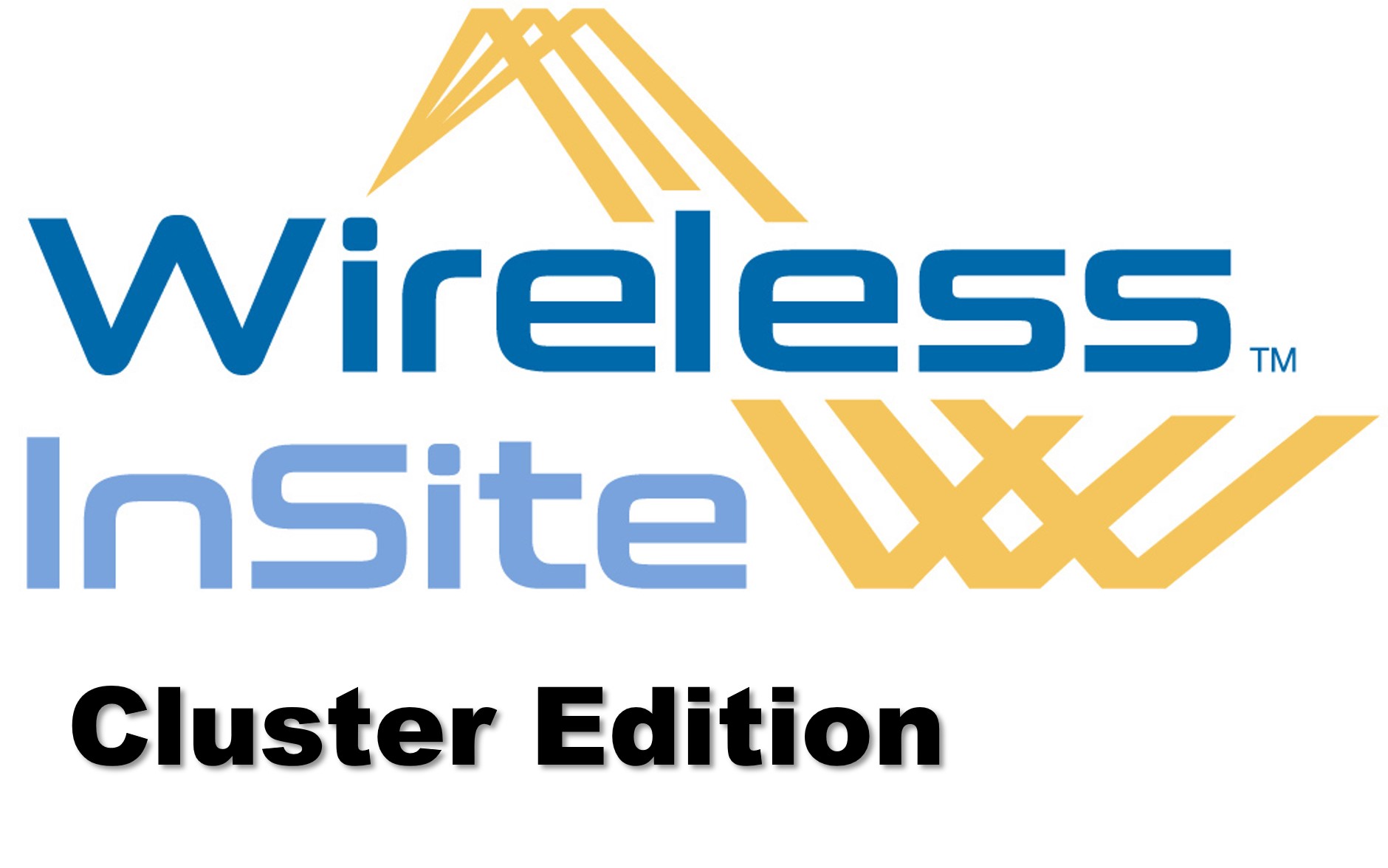Wireless Insite 企業集群版